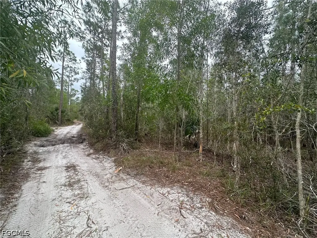 2258 Brooklawn Drive North Fort Myers FL 33917