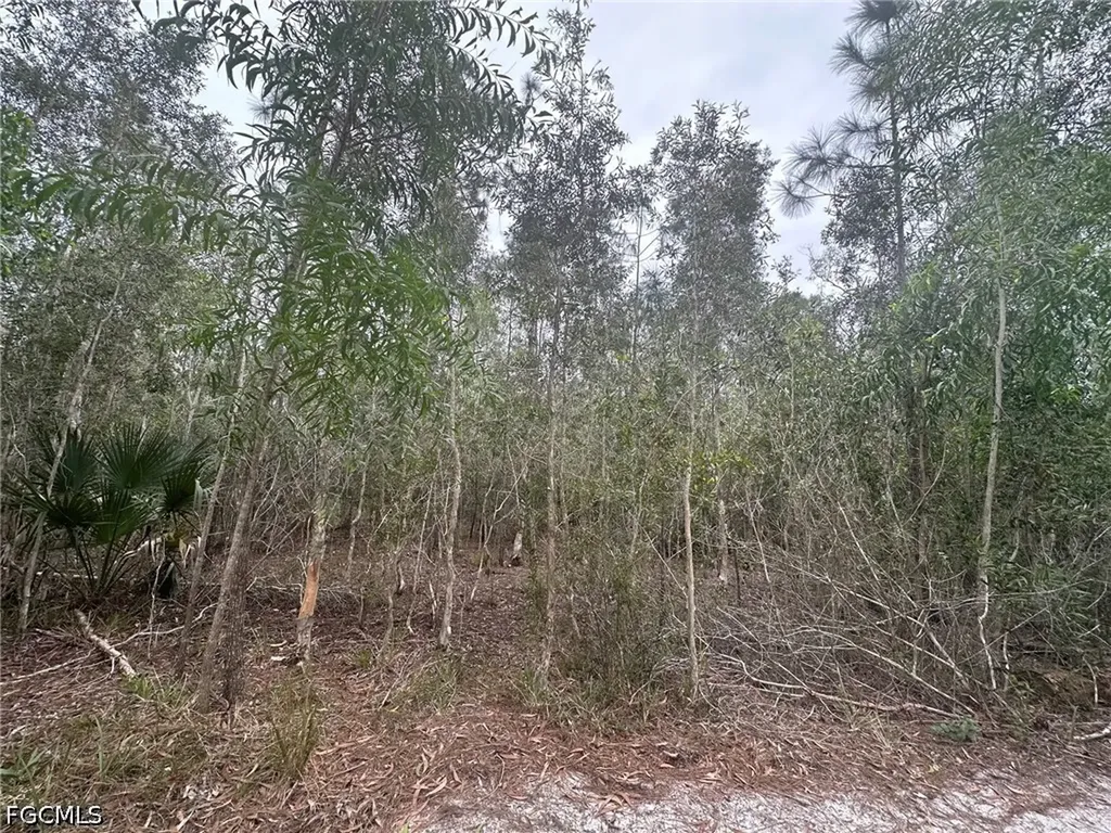 2258 Brooklawn Drive North Fort Myers FL 33917