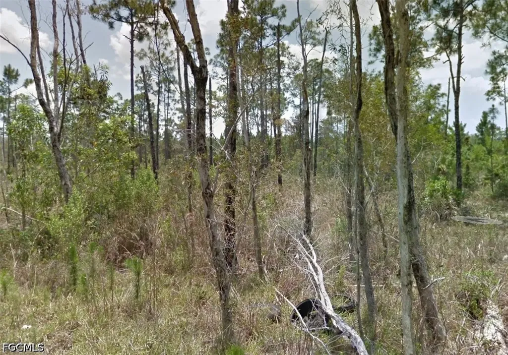 2258 Brooklawn Drive North Fort Myers FL 33917