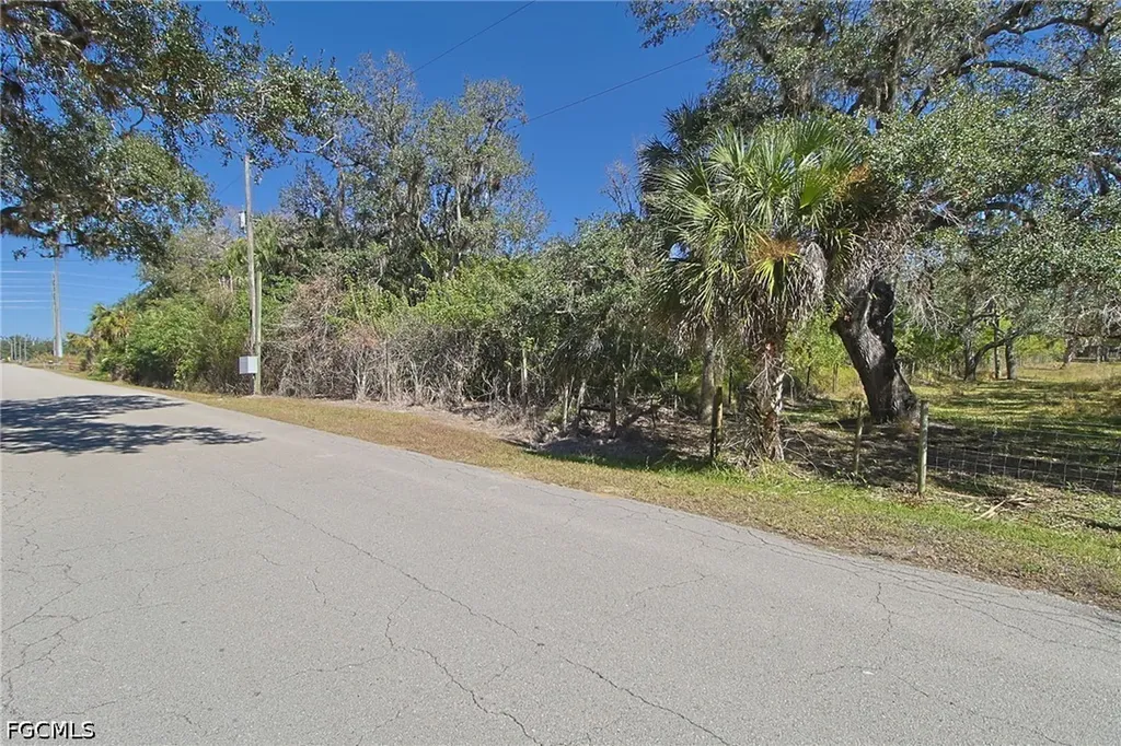 2975 Styles Road Alva FL 33920
