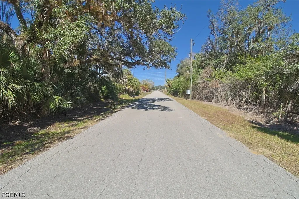 2971 Styles Road Alva FL 33920