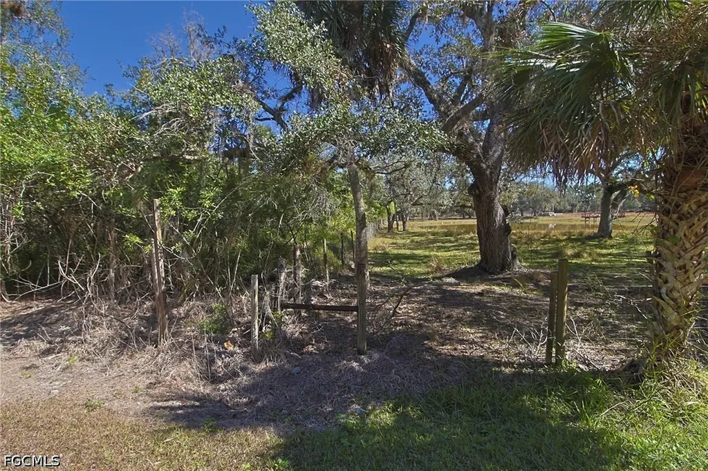 2971 Styles Road Alva FL 33920