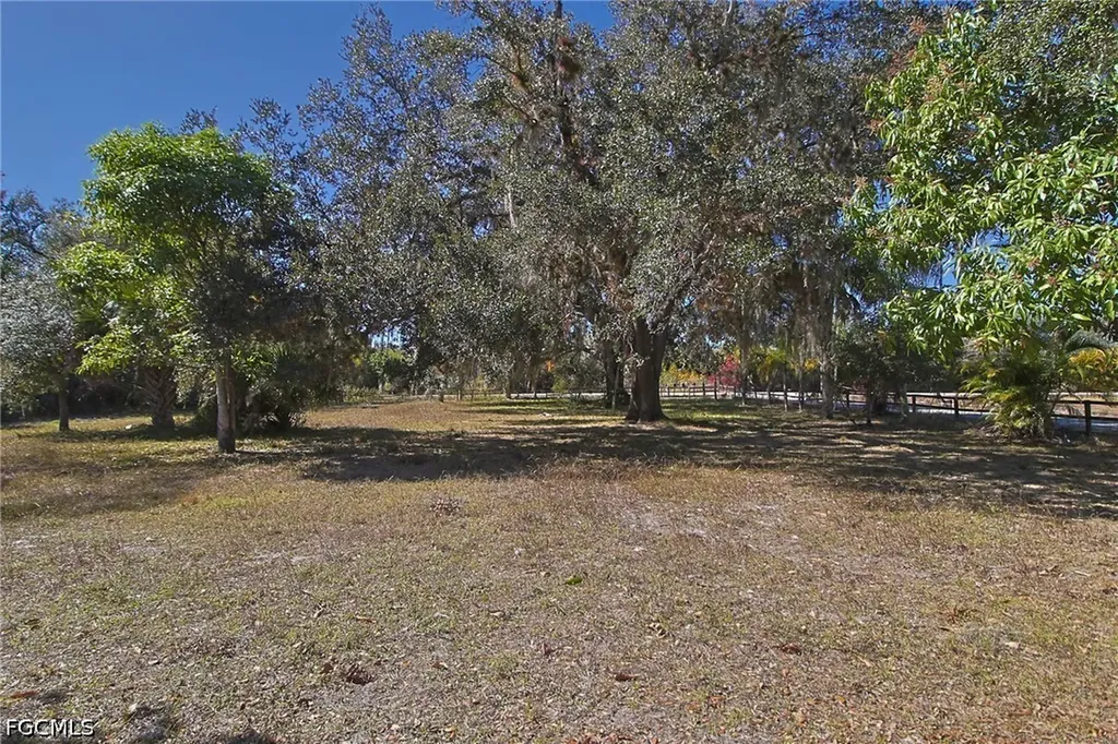 2971 Styles Road Alva FL 33920