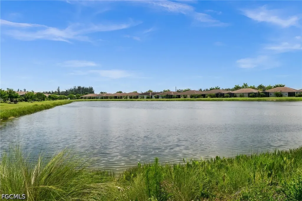 10288 Bonavie Cove Drive Fort Myers FL 33966