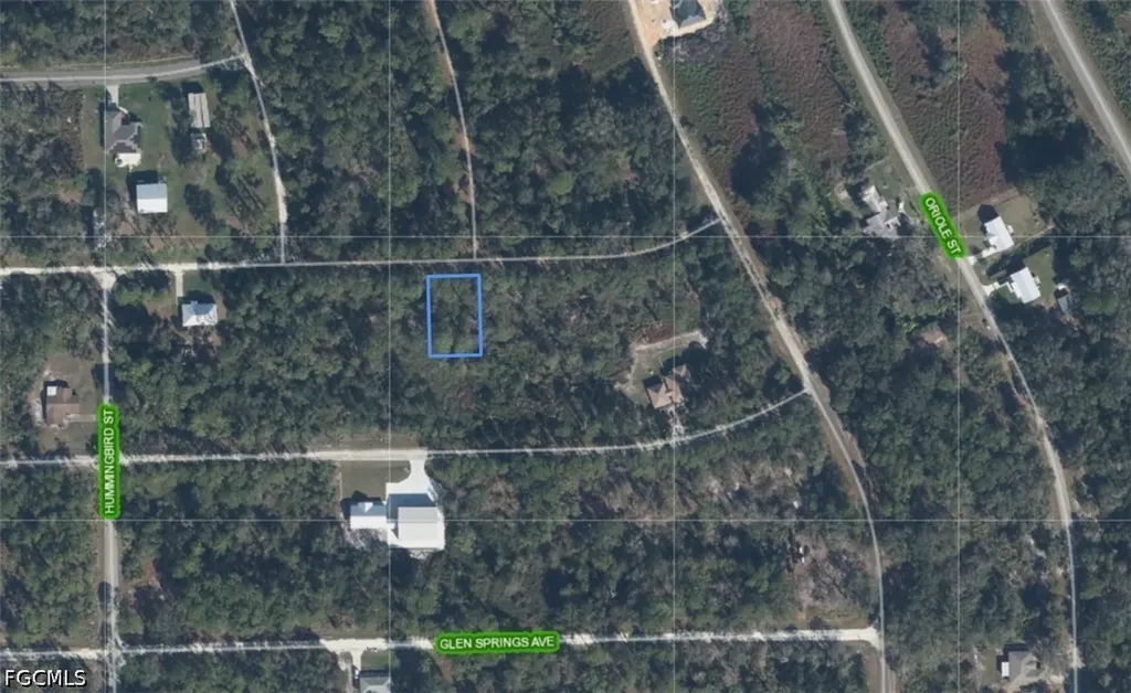 3224 Spoonbill Avenue Lake Placid FL 33852