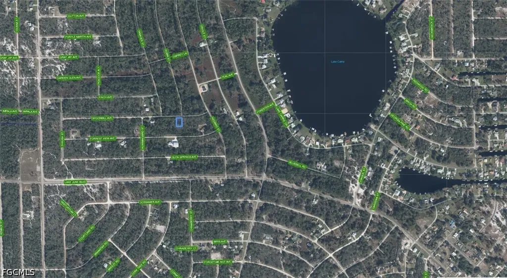 3224 Spoonbill Avenue Lake Placid FL 33852