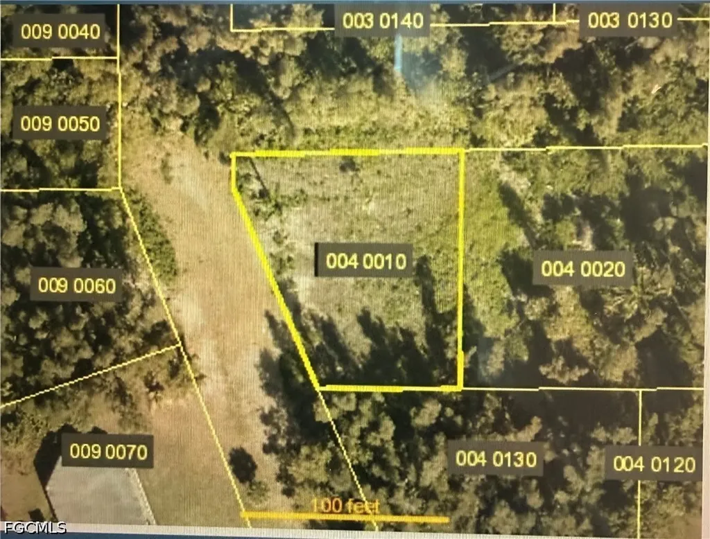 Americana Avenue Estero FL 33928
