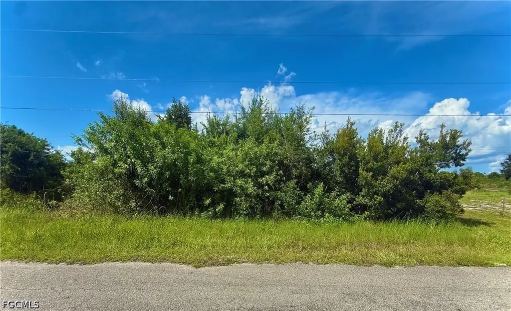 Fort Myers FL, 1229 Belgrave Street