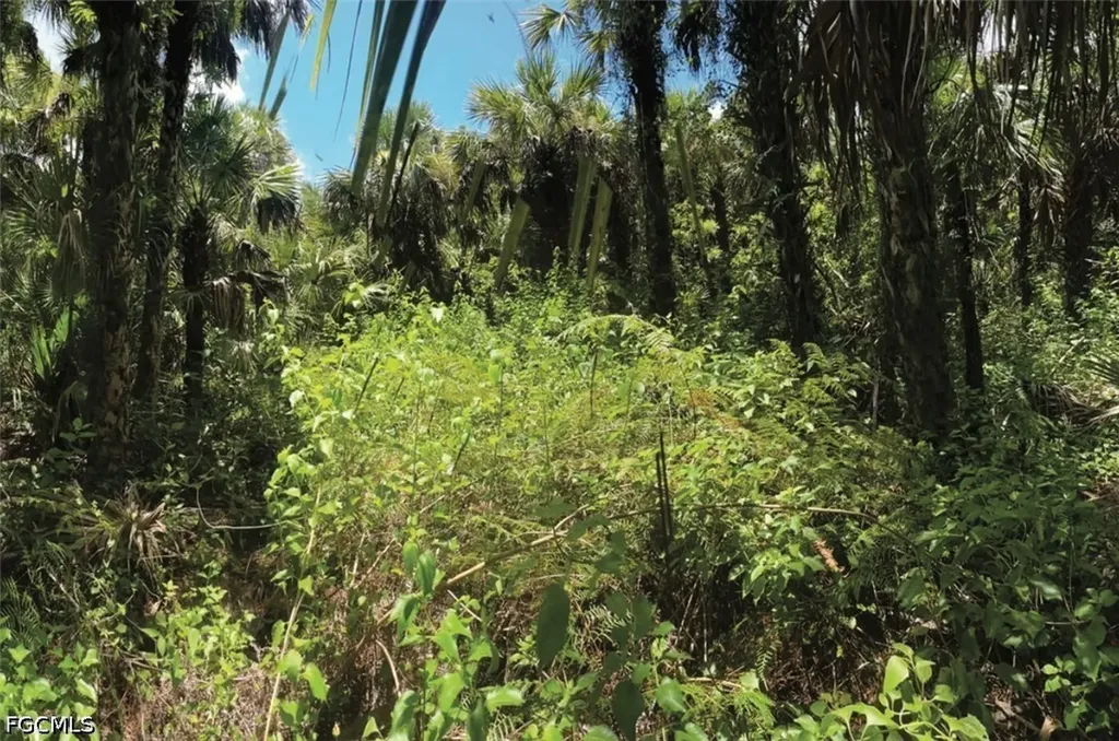 Naples FL 34117