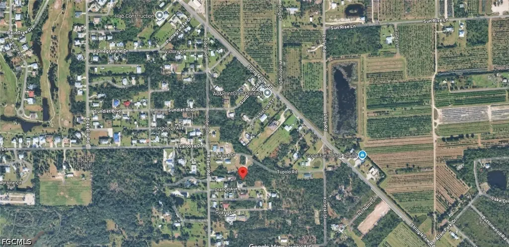 Undetermined Bokeelia FL 33922