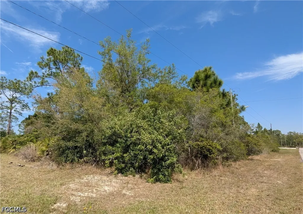 1855 Lindenwood Drive Lehigh Acres FL 33972