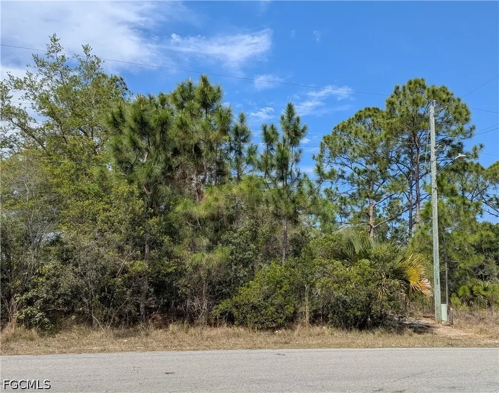 1855 Lindenwood Drive Lehigh Acres FL 33972