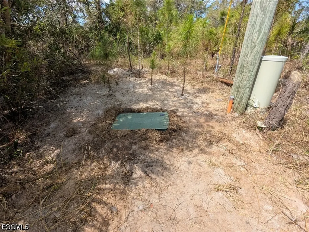 1855 Lindenwood Drive Lehigh Acres FL 33972