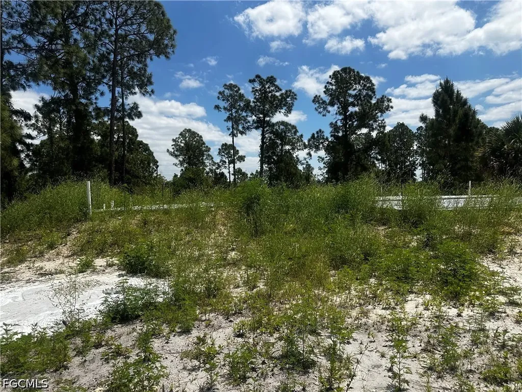 459 Zimmerman Avenue Lehigh Acres FL 33974