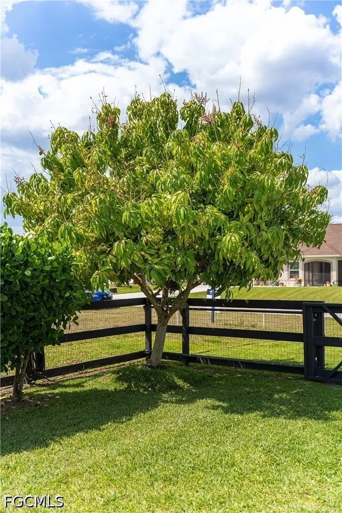 910 SW 33rd Terrace Cape Coral FL 33914