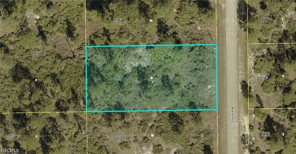 321 Louis Avenue Lehigh Acres FL 33936