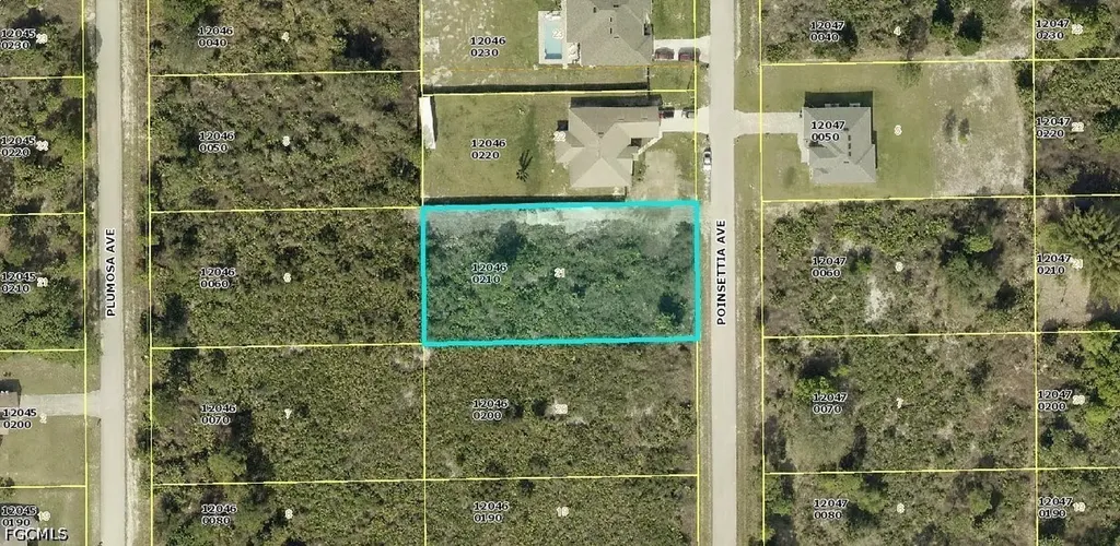 1115 Poinsettia Avenue Lehigh Acres FL 33972