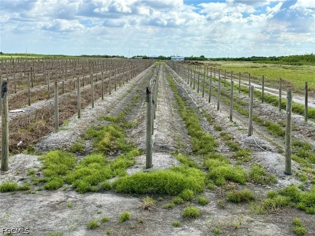 5567 5th Road Labelle FL 33935