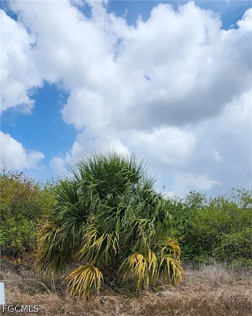 357 Neighborly Road Labelle FL 33935