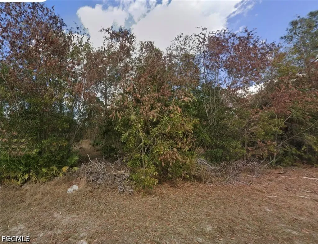 3605 E 3rd Street Lehigh Acres FL 33936