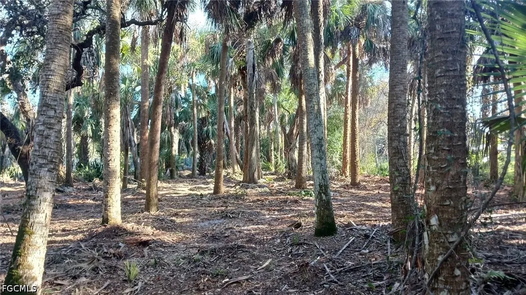 16470 B2 Daughtreys Creek North Fort Myers FL 33917
