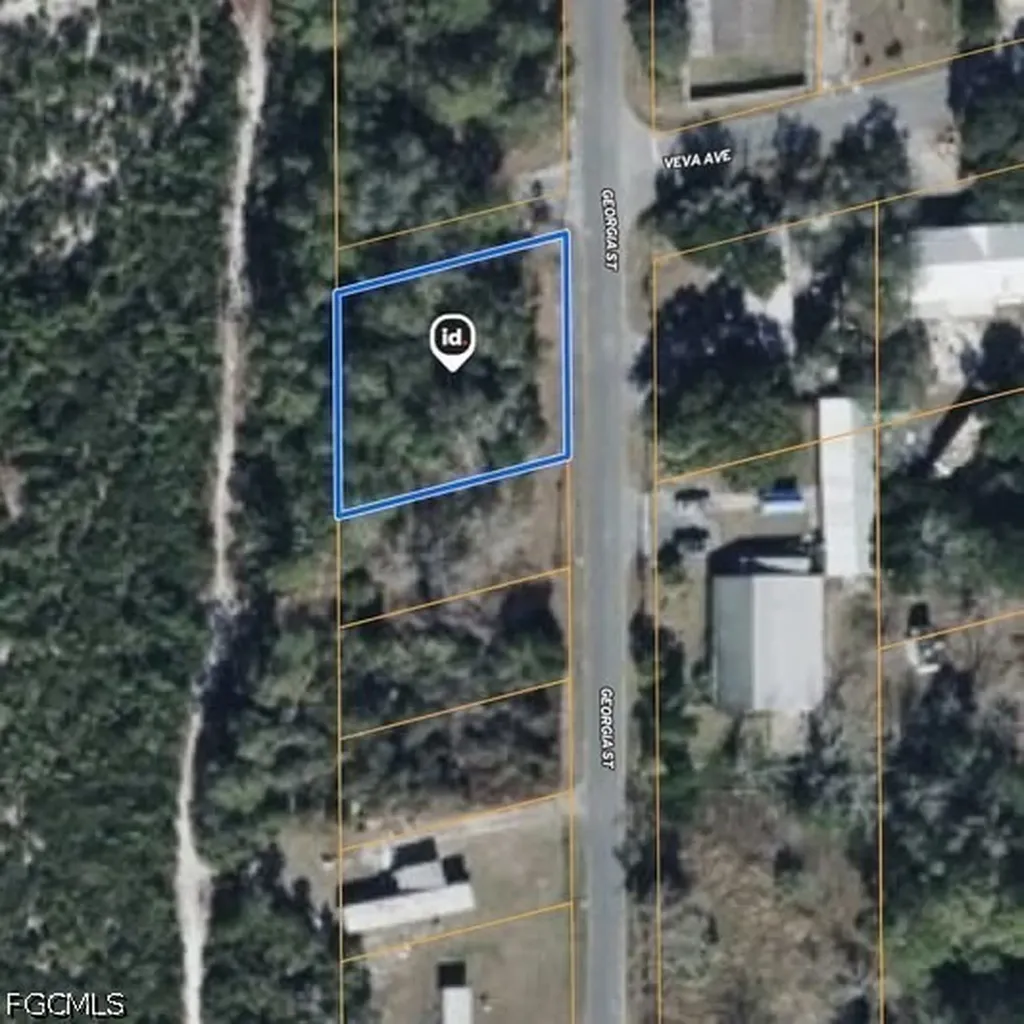 15-17-28-0200-009-00100 Georgia Street Paisley FL 32767