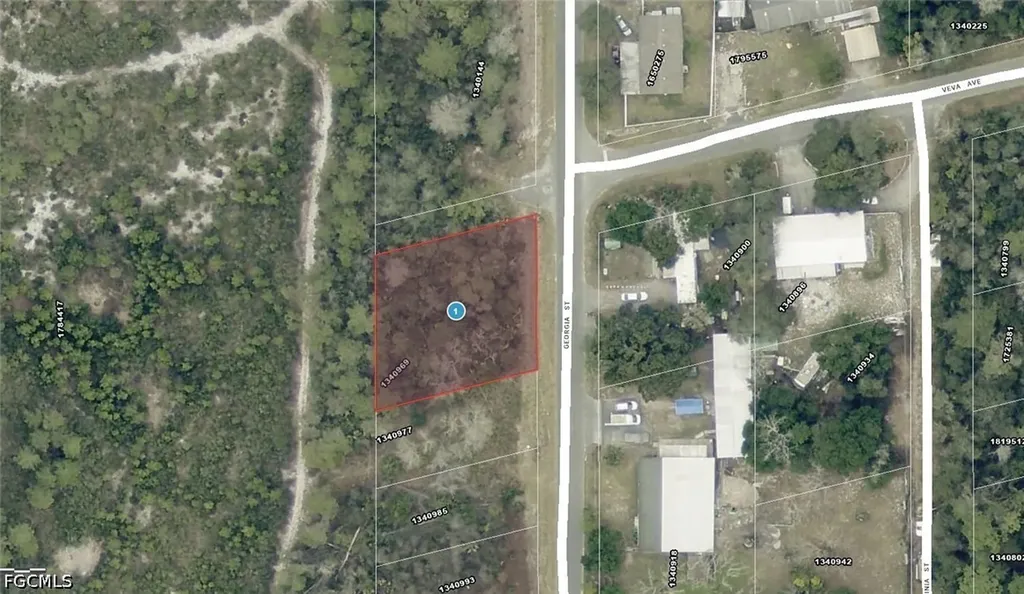 15-17-28-0200-009-00100 Georgia Street Paisley FL 32767