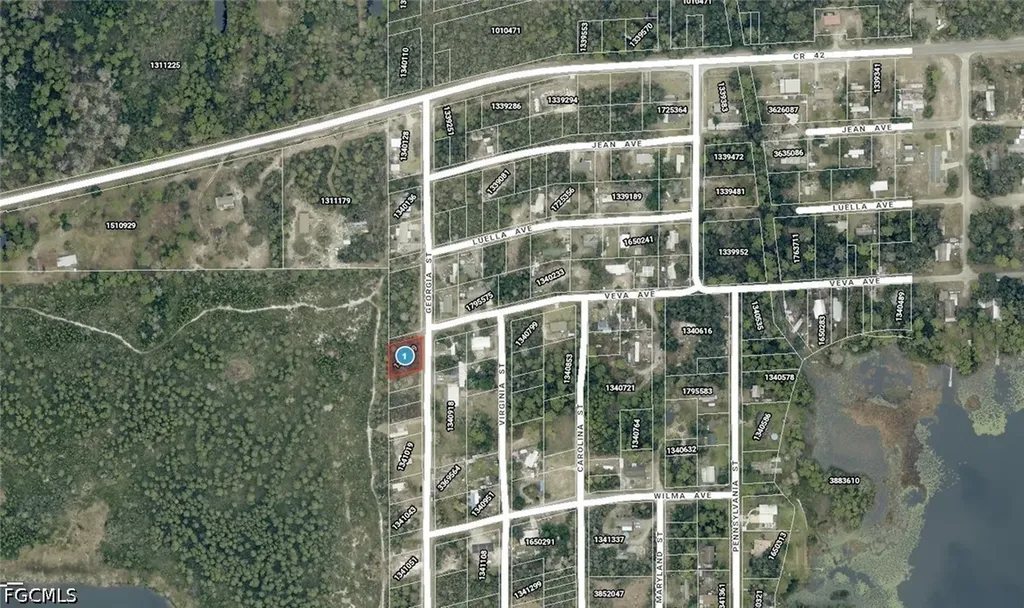 15-17-28-0200-009-00100 Georgia Street Paisley FL 32767