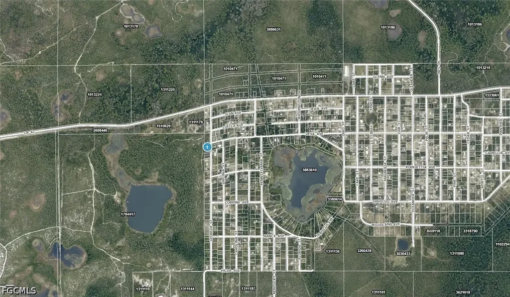 15-17-28-0200-009-00100 Georgia Street Paisley FL 32767