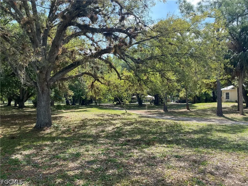 20100 Langford Road Alva FL 33920