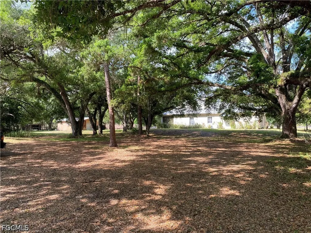 20100 Langford Road Alva FL 33920