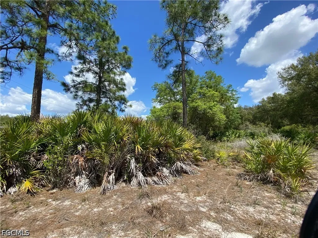 1512 Clayton Avenue Lehigh Acres FL 33972
