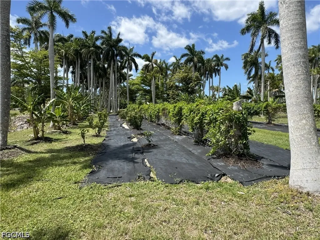13641 Ficus Tree Lane Bokeelia FL 33922