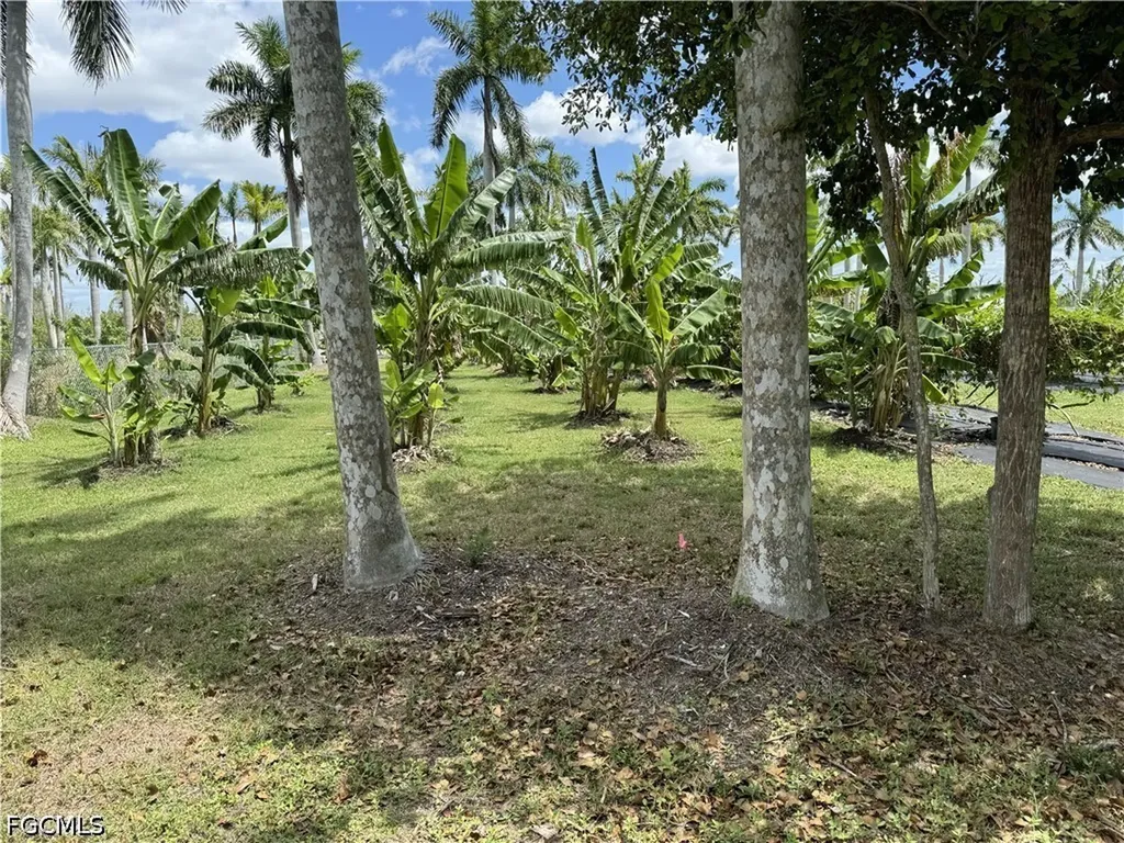 13641 Ficus Tree Lane Bokeelia FL 33922