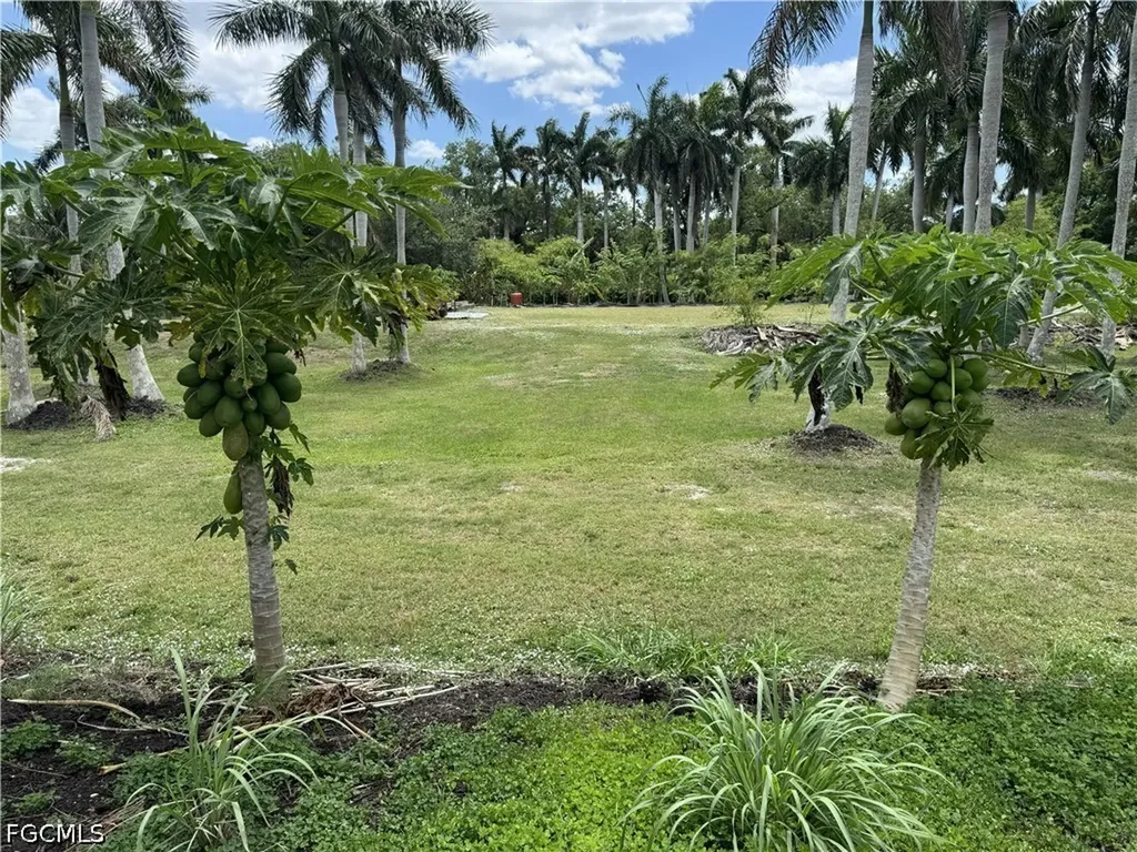13641 Ficus Tree Lane Bokeelia FL 33922