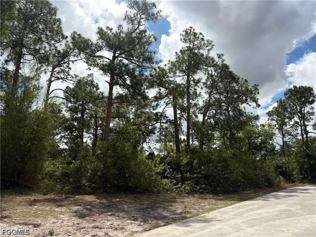 200 Gerald Avenue N Lehigh Acres FL 33971