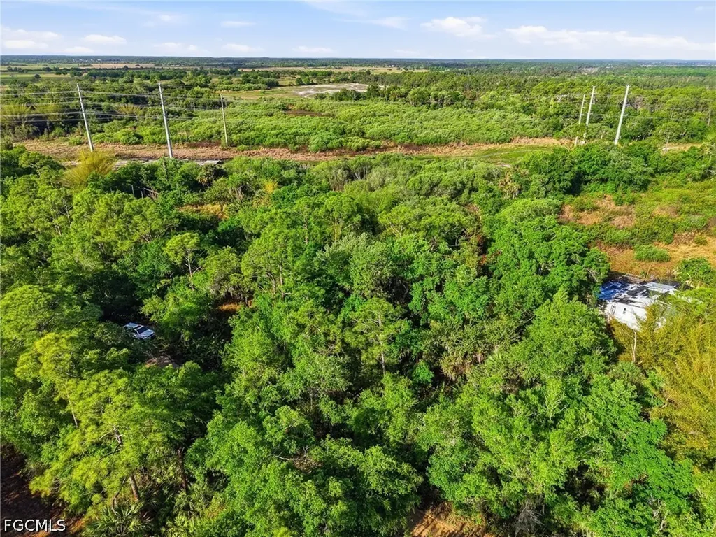 22811 Williams Drive North Fort Myers FL 33917