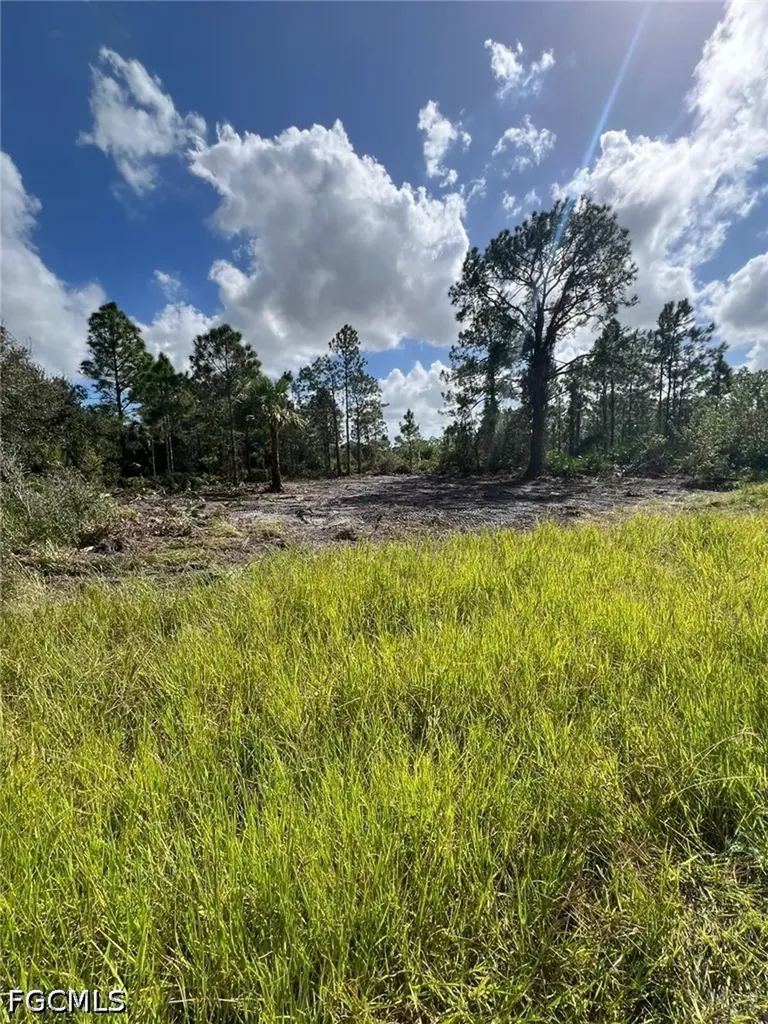 411 Lovers Avenue Lehigh Acres FL 33974