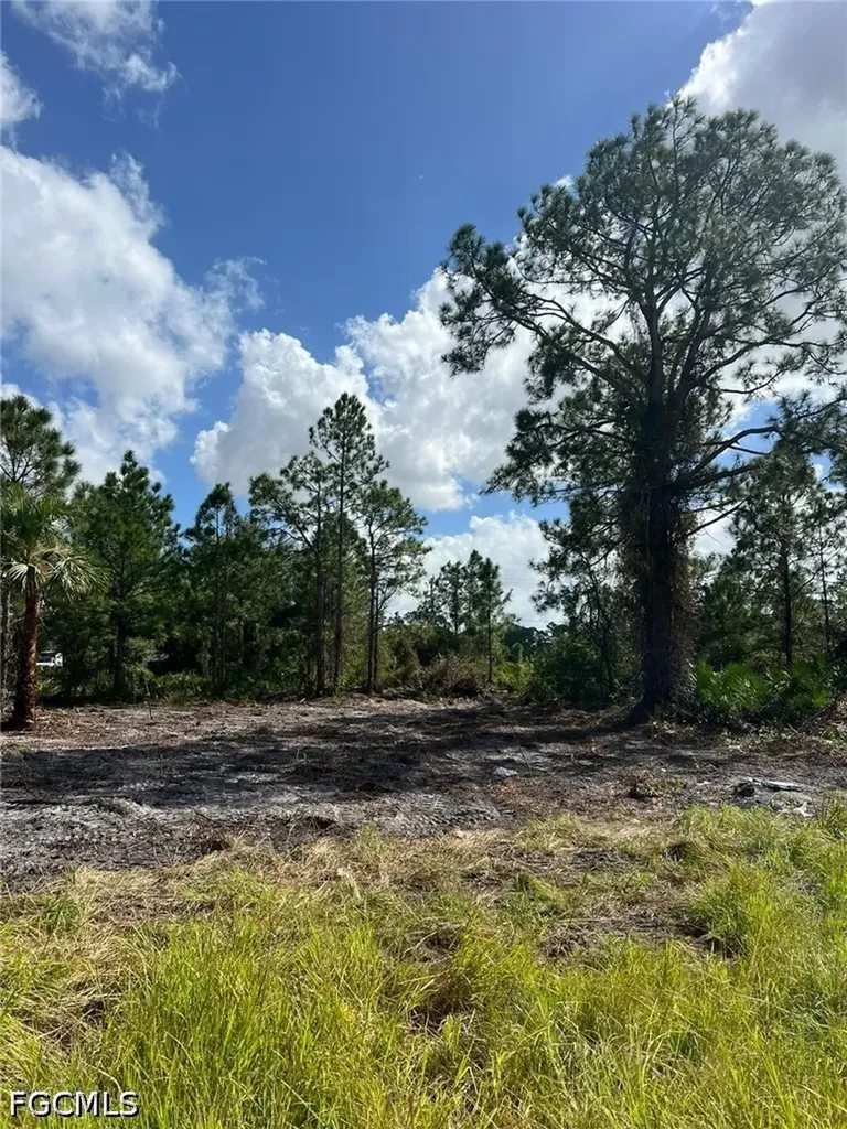 411 Lovers Avenue Lehigh Acres FL 33974