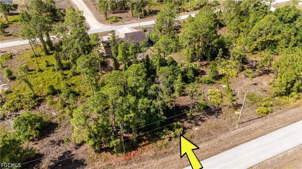 1228 Celtic Street E Lehigh Acres FL 33974