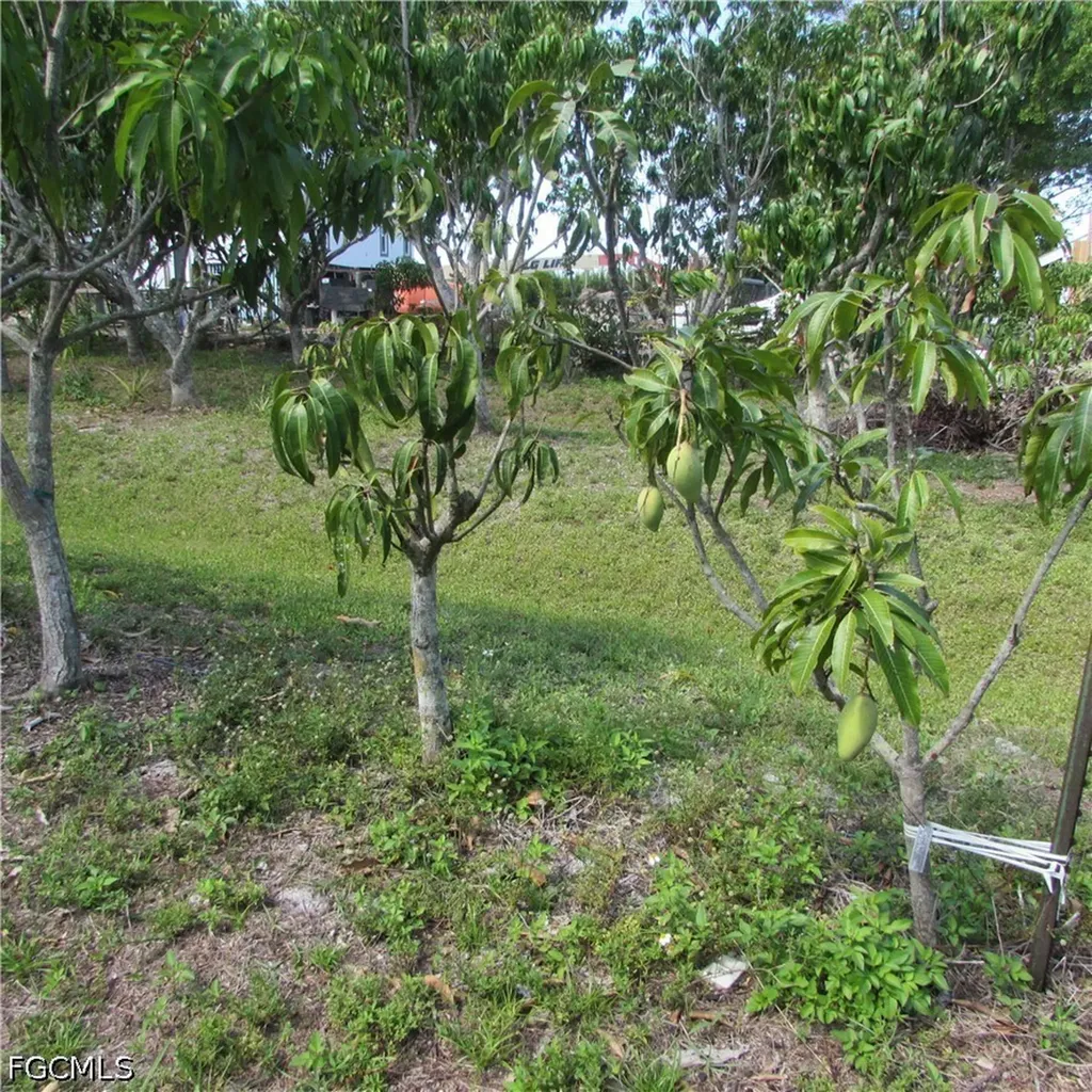 6640 Sunrise Lane Bokeelia FL 33922