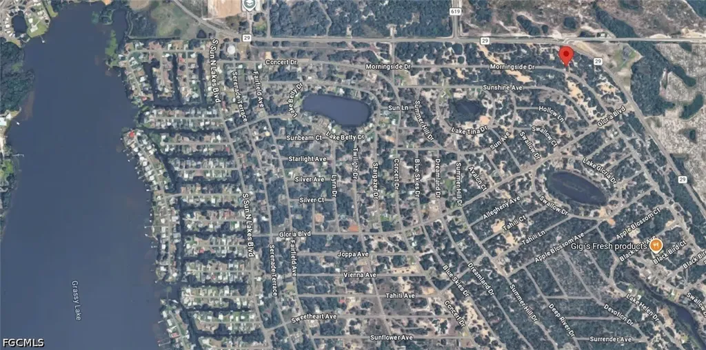 456 Morningside Drive Lake Placid FL 33852