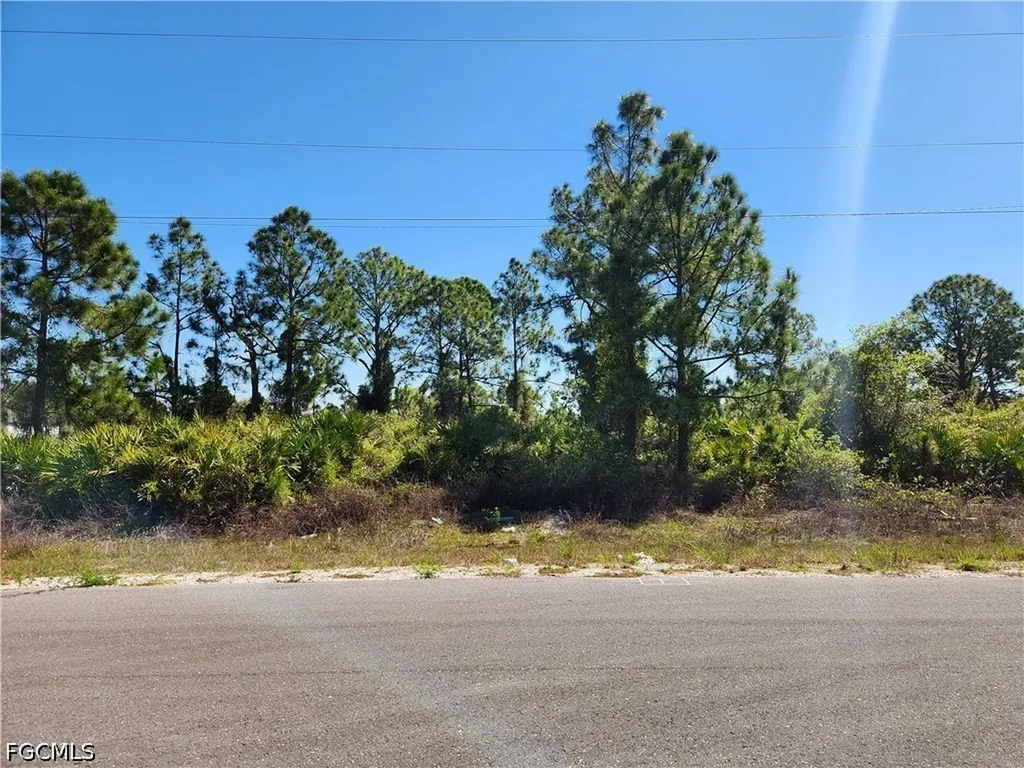 1015 Elgin Street Lehigh Acres FL 33974