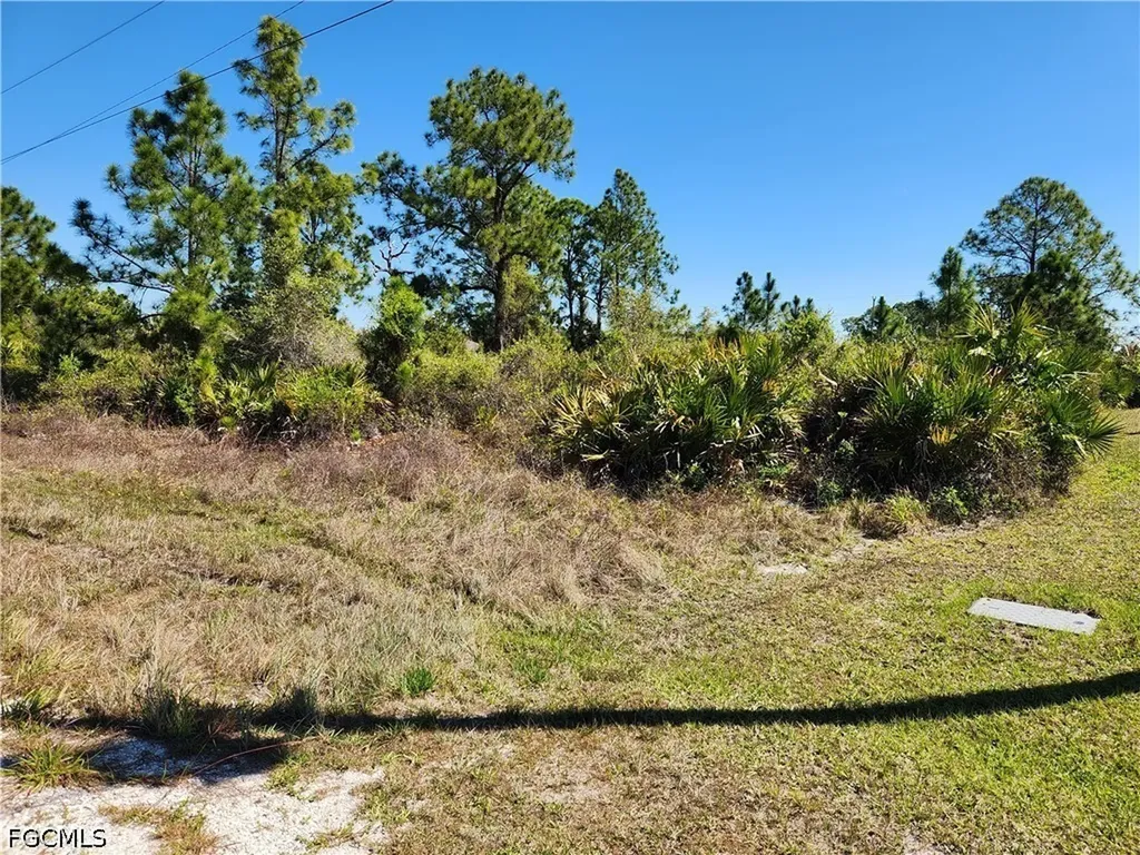 1015 Elgin Street Lehigh Acres FL 33974