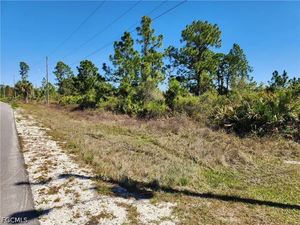 1013 Elgin Street Lehigh Acres FL 33974