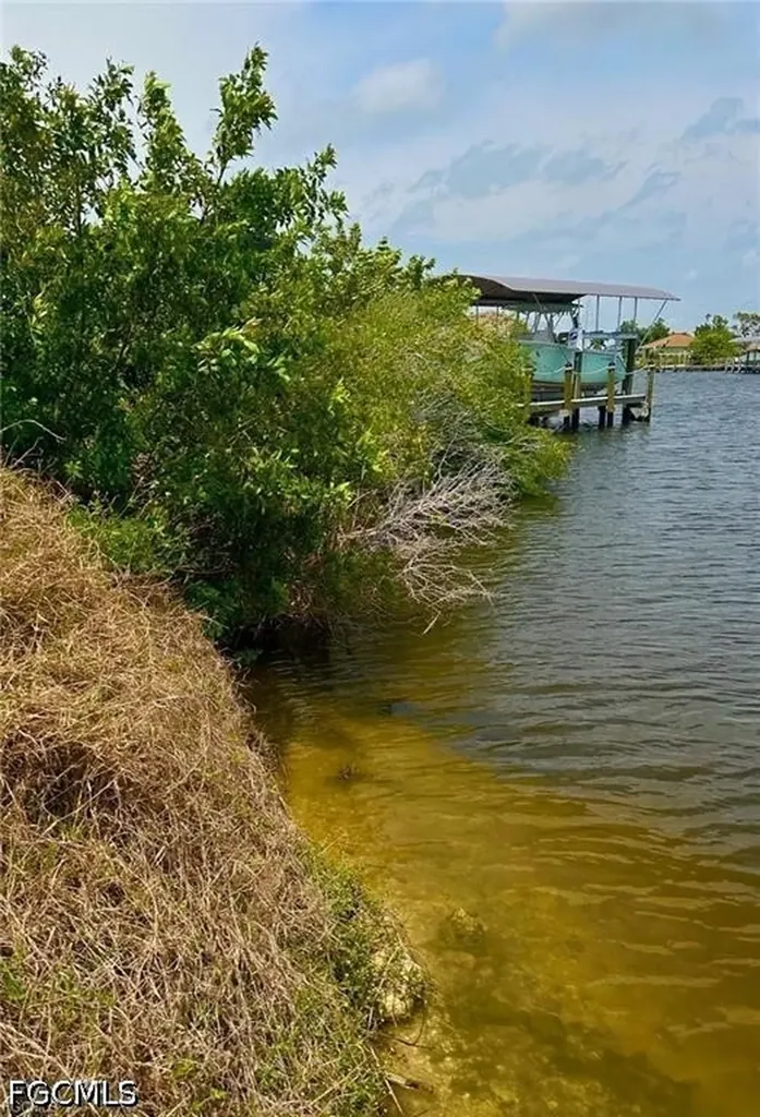 1217 NW 41st Place Cape Coral FL 33993