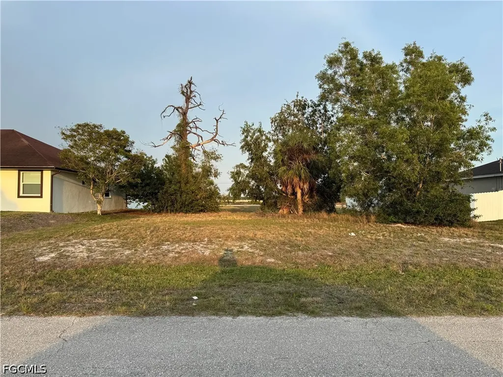 3031 NW 16th Place Cape Coral FL 33993