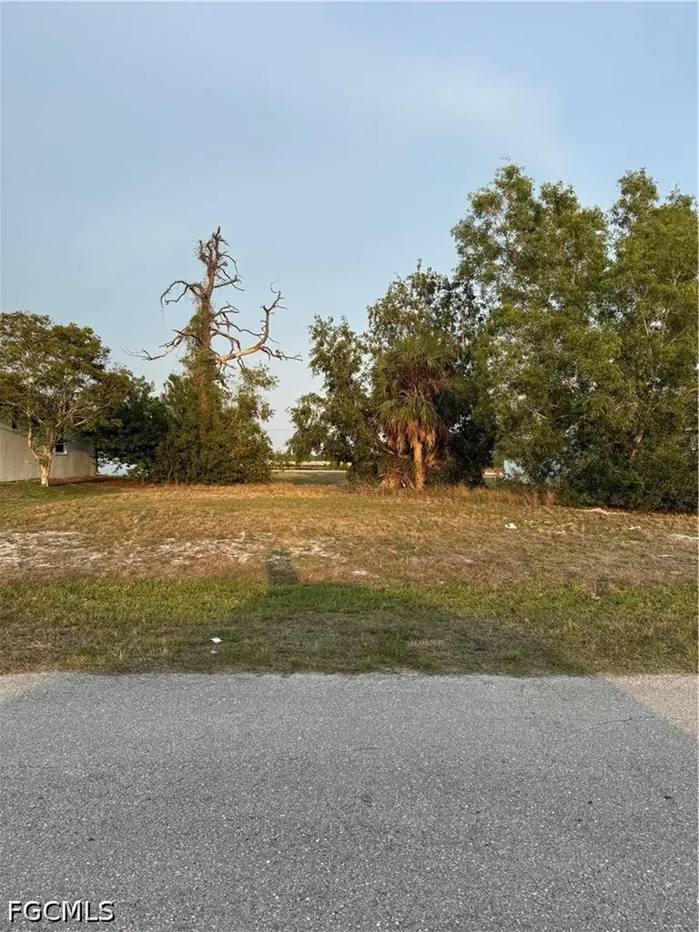 3031 NW 16th Place Cape Coral FL 33993