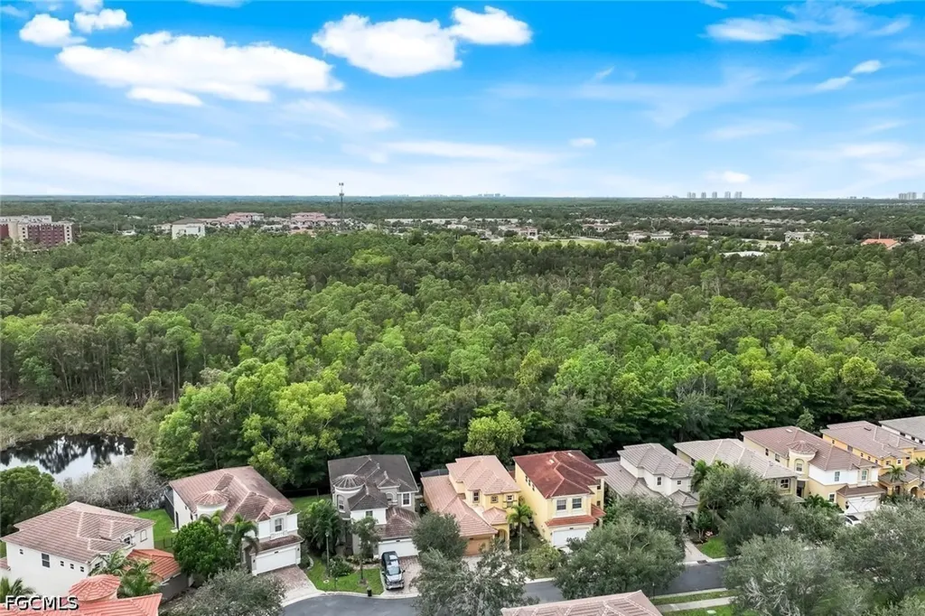 10253 S Silver Palm Drive Estero FL 33928
