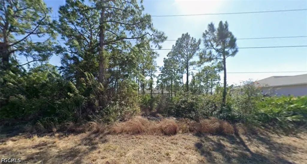 1601 W 11th Street Lehigh Acres FL 33972